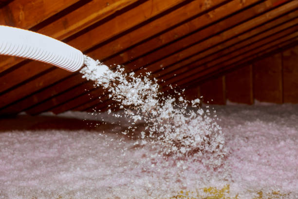 Best Fiberglass Insulation in La Paloma, TX