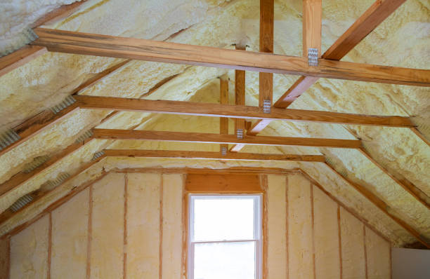 Best Cellulose Insulation in La Paloma, TX