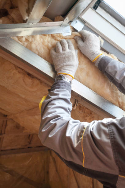 Best Specialized Insulation Services in La Paloma, TX