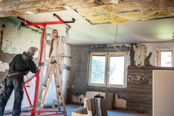 Best Blown-in Insulation in La Paloma, TX