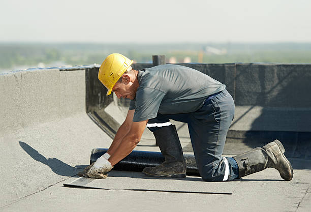 Best Commercial Insulation in La Paloma, TX