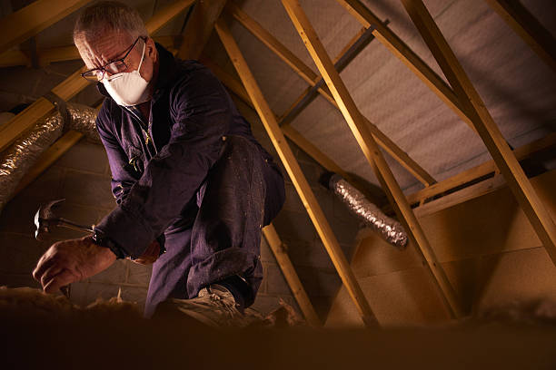 Best Insulation for Specific Applications in La Paloma, TX